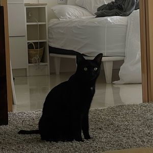 Meet your Posher, Coco